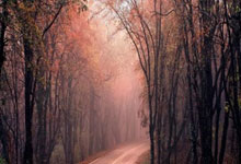 莫雷托:皮奥-埃斯波西托本周与国米完成续约.