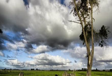 维基体育:2023年陆河县乡村足球赛开幕.