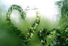 澳網|冼拿直落三盤挫薩維列夫 第三度捧大滿貫 對手:你太強了.