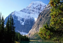 卡塔爾世界杯在11月舉行背後的真相.