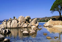 维基体育:官方:葡萄牙任命馬丁內斯為新任主教練.